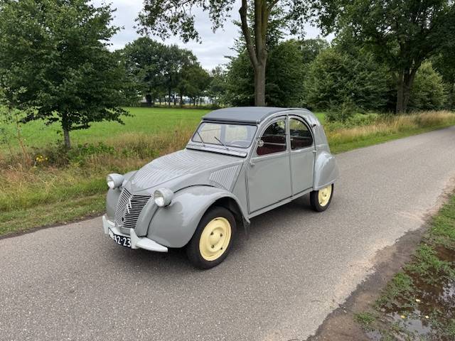 Citroen AZ 1955 Ribbeleend